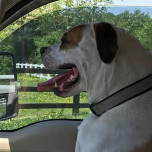 Meet your Posher, Luanne